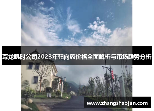 尊龙凯时公司2023年靶向药价格全面解析与市场趋势分析